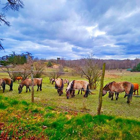 Nadmorska Osada Villa Oslonino Buitenkant foto