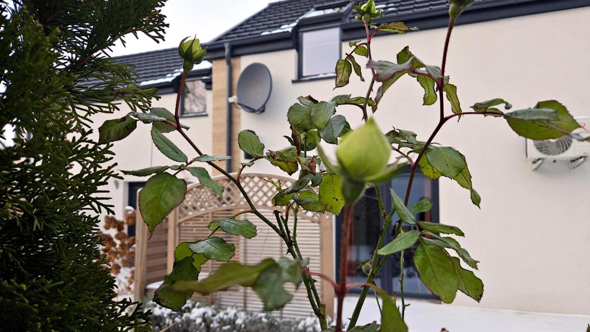 Nadmorska Osada Villa Oslonino Buitenkant foto