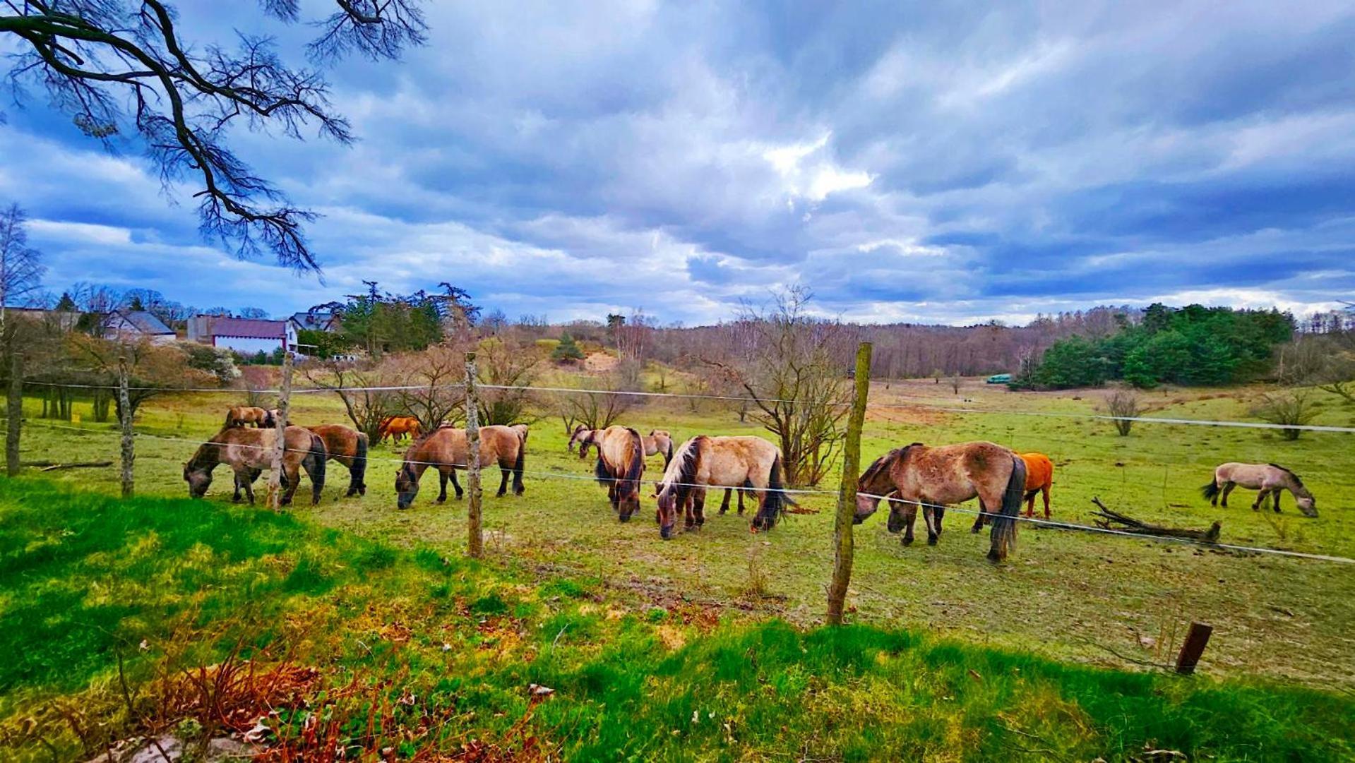Nadmorska Osada Villa Oslonino Buitenkant foto